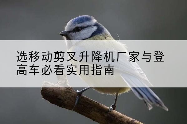 宣威电动升降机厂家-选移动剪叉升降机厂家与登高车必看实用指南