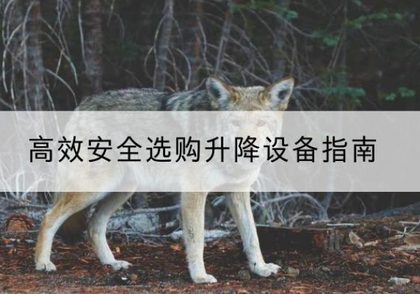 宣威升降货梯厂家推荐-*安全选购升降设备指南